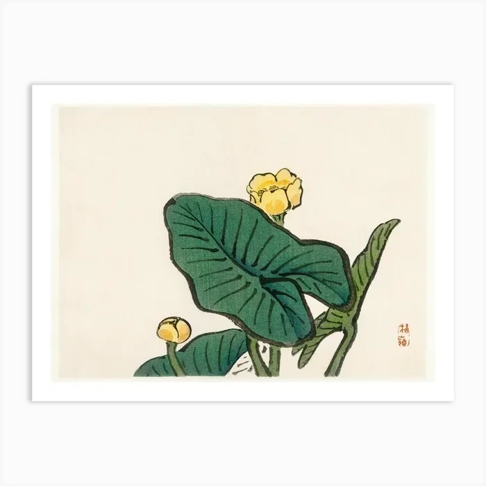 Water Lily, Kōno Bairei Art Print by Fy! Classic Art Prints and Posters