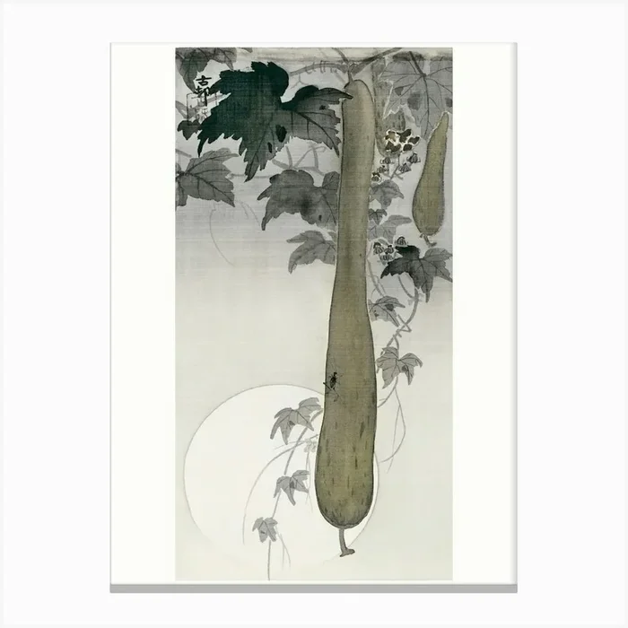 Wild Cucumber And A Full Moon (1877 1945), Ohara Koson Canvas Print by Fy! Classic Art Prints and Posters