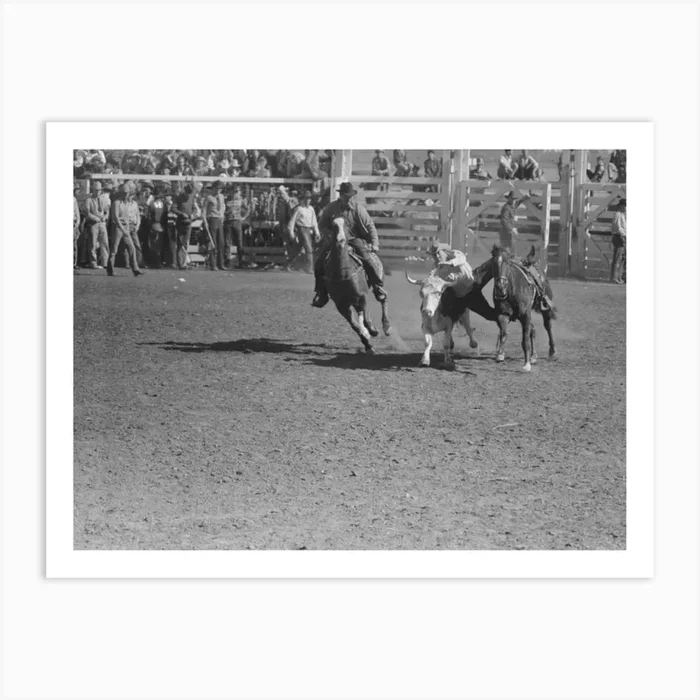 Wild Steer Wrestling At The Rodeo Of The San Angelo Fat Stock Show, San Angelo, Texas By Russell Lee Art Print by Fy! Classic Art Prints and Posters