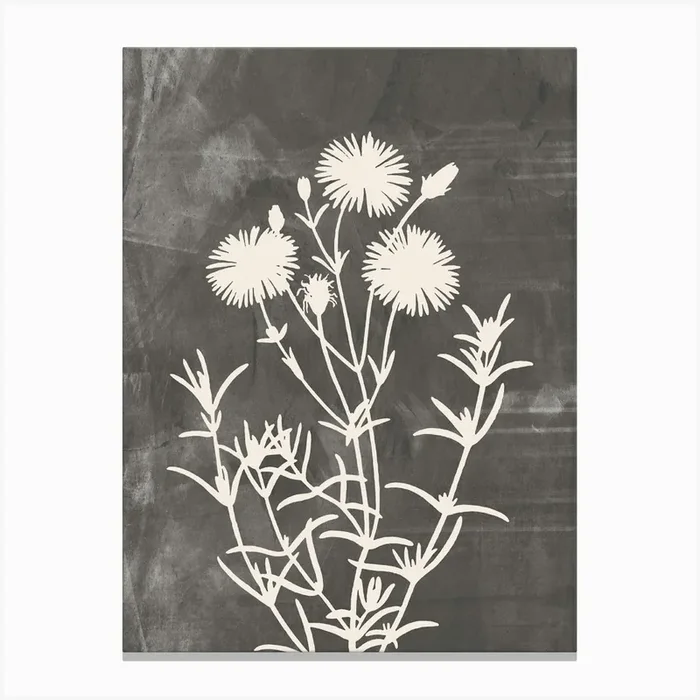 Wildflowers In Gray, Minimalist Botanical 1 Canvas PrintA by Articraft