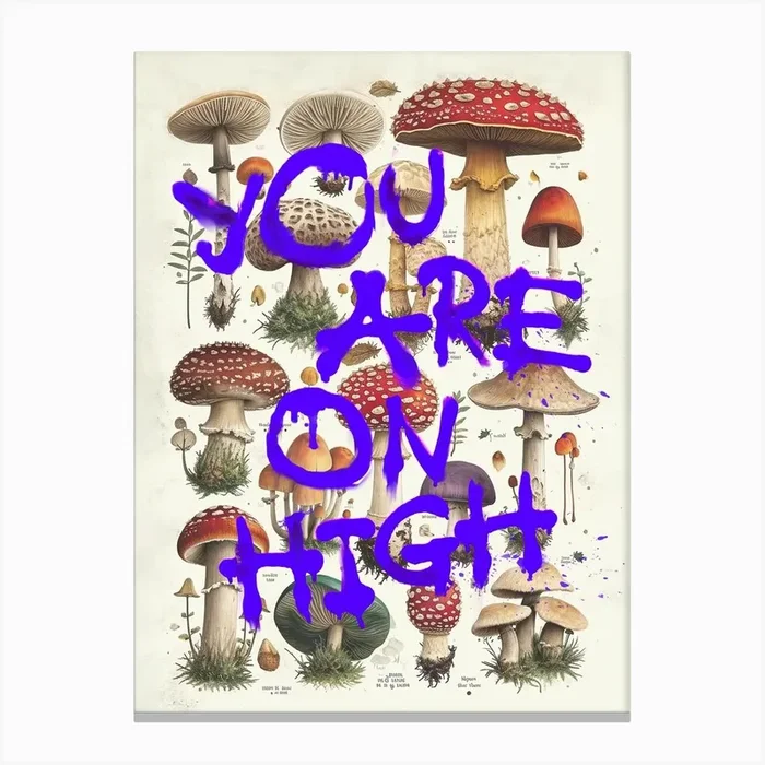 You Are On High Canvas Print by Dikhotomy